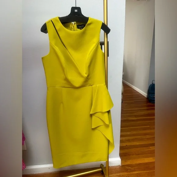 This is a beautiful sheath dress. When you put it on it feels and looks amazing - Picture 2 of 3